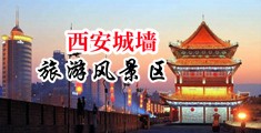 美女日屄网站中国陕西-西安城墙旅游风景区